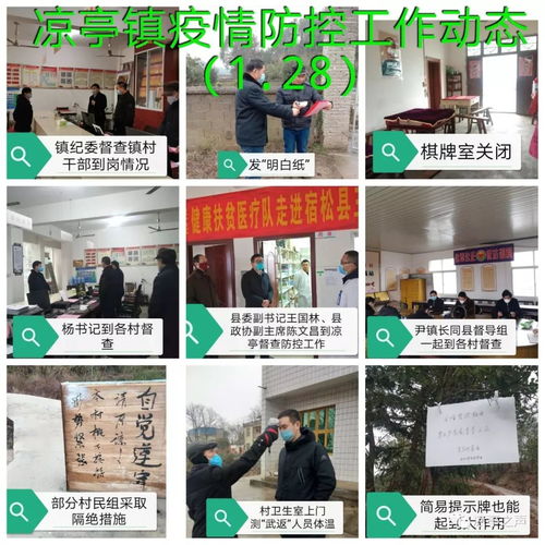 涼亭鎮疫情防控 一張拼圖，一方平安——記涼亭鎮疫情防控工作動態網頁設計