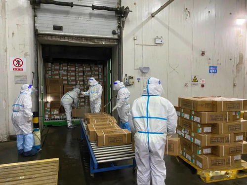 園區(qū)進口冷鏈食品集中監(jiān)管倉正式啟用 技術進出口與食品安全管控的雙重革新