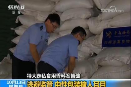 貨物與技術進出口報關 流程、差異與合規要點解析